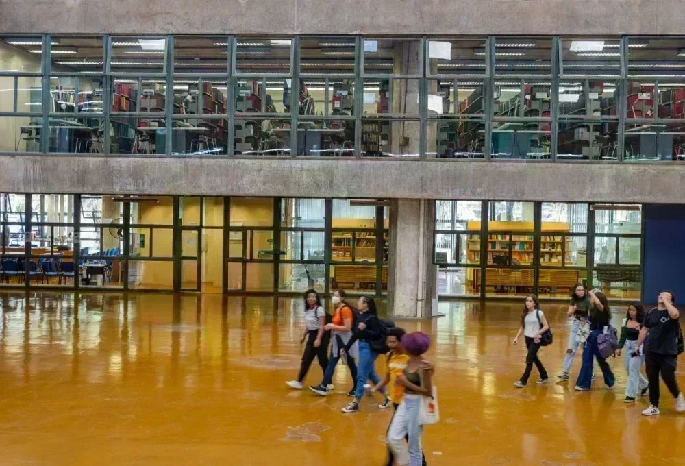 Crescimento de Trabalhadores com Ensino Superior no Brasil