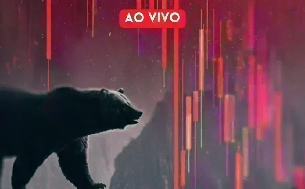 Ibovespa em Queda: O que Isso Significa para Investidores