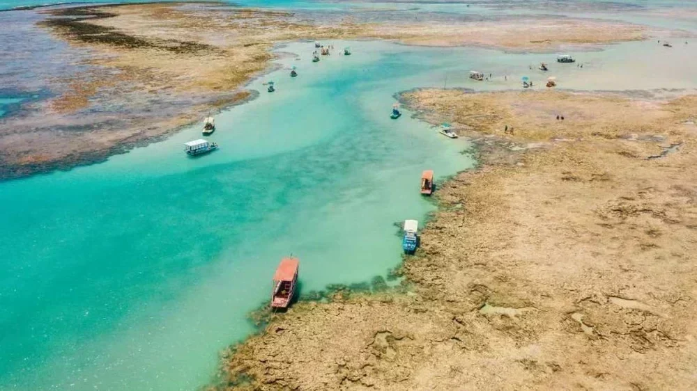 As Praias Mais Limpas do Brasil: Descubra Onde Estão