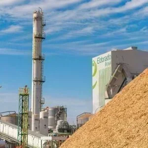 Ferrovia da Eldorado Celulose: Avanços e Oportunidades