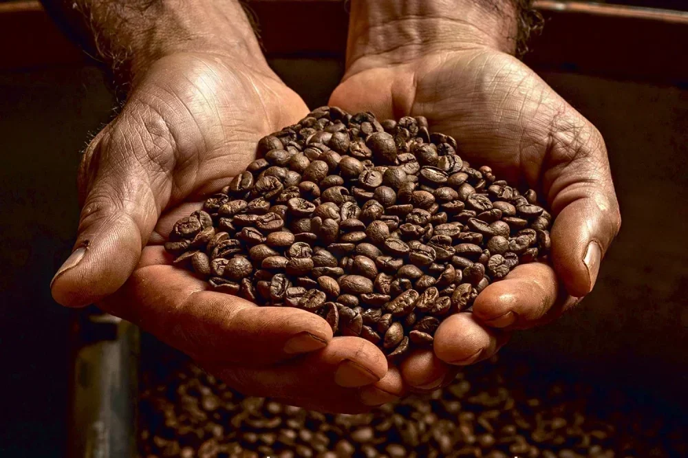 IGP-M apresenta leve queda em dezembro e no ano