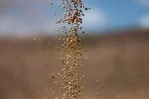 Perspectivas Econômicas do Bank Of America para 2026