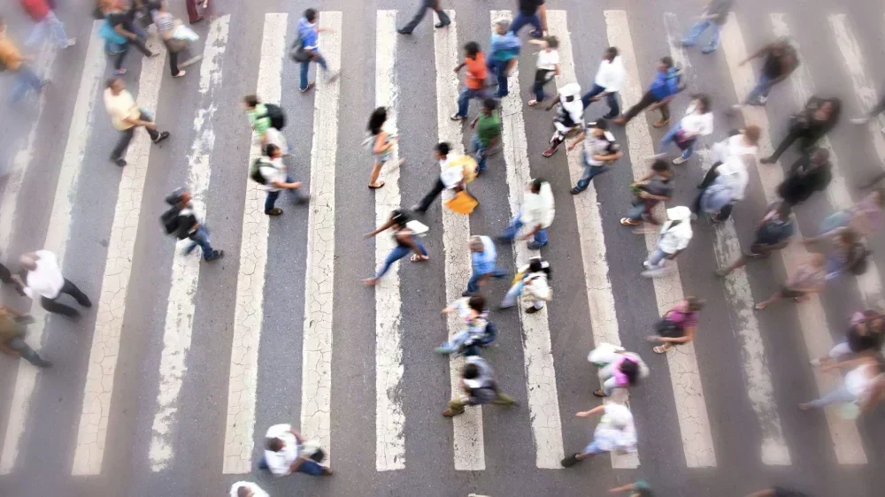 Santa Catarina: Menor Desigualdade de Renda do Brasil em 2024