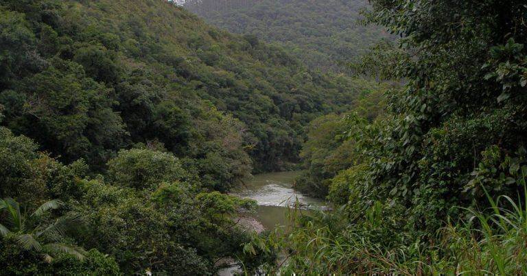 Suspensão da Licitação da Barragem de Botuverá: O Que Esperar?