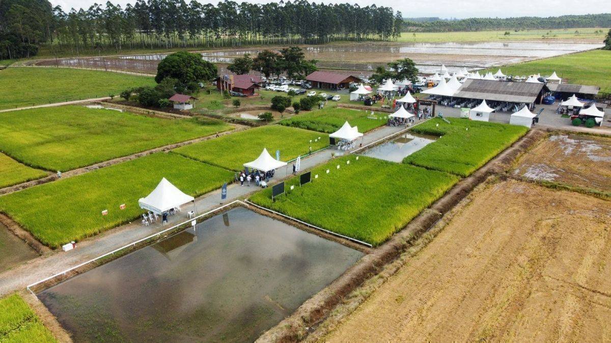 Abertura da Colheita do Arroz em São João do Itaperiú: Reunião de Líderes do Agronegócio nos Dias 22 e 23 de Janeiro
