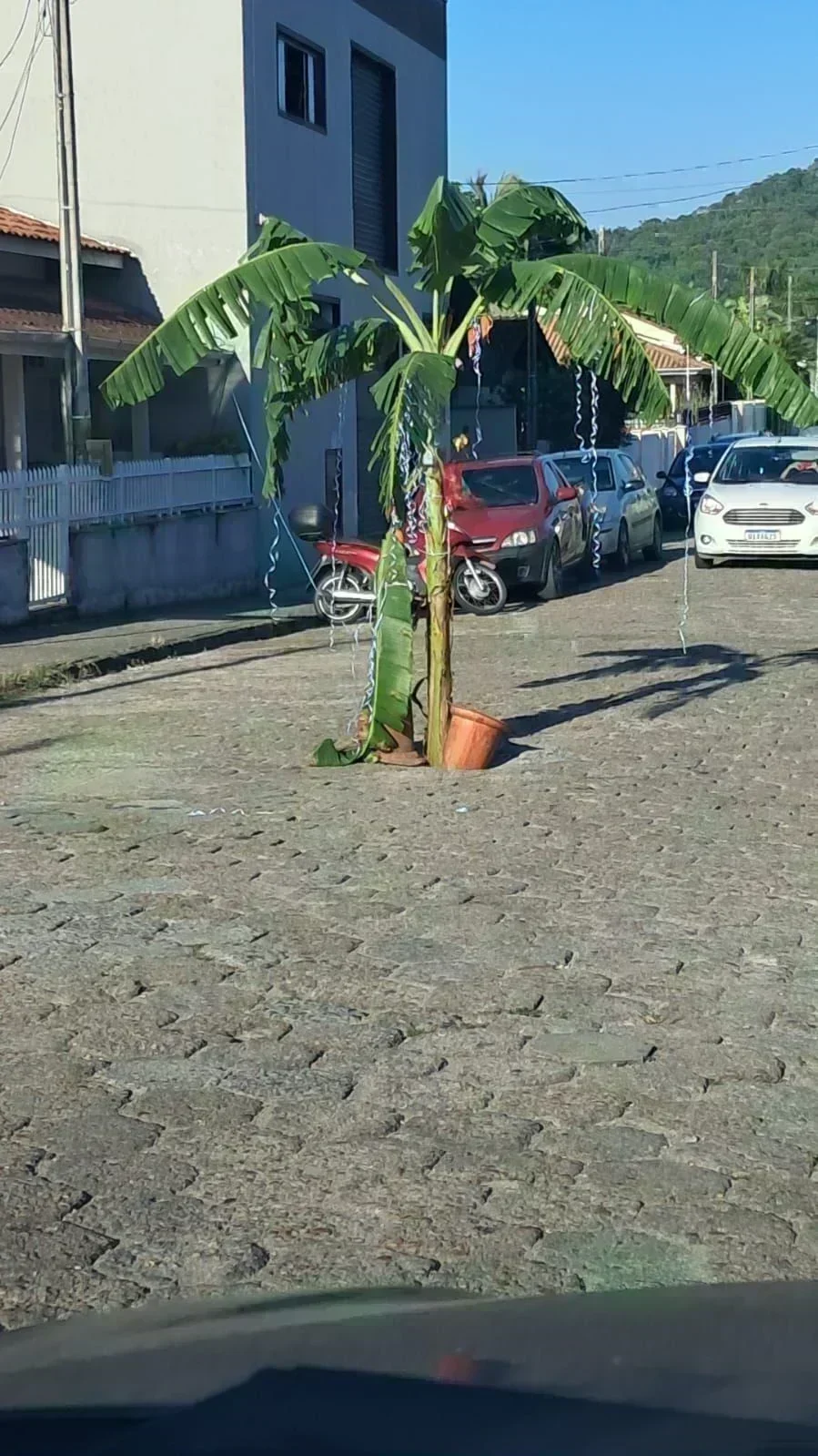 Buraco em Águas Claras: Moradores usam enfeites de Páscoa para protestar contra descaso da Prefeitura