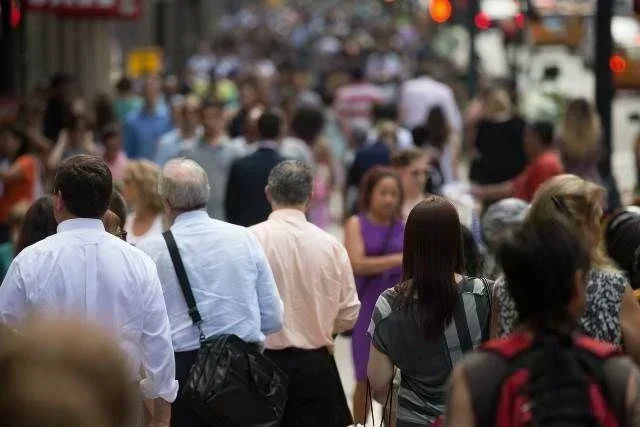 Crescimento de 3,7% em Serviços em SC: O Que Isso Significa para Investidores?