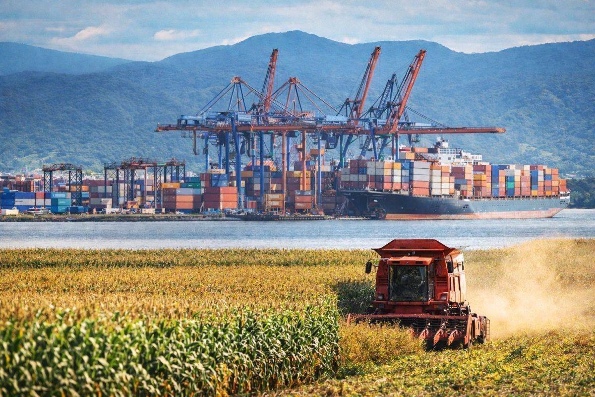 Crescimento de 4,9% em Santa Catarina: O que isso significa para investidores?