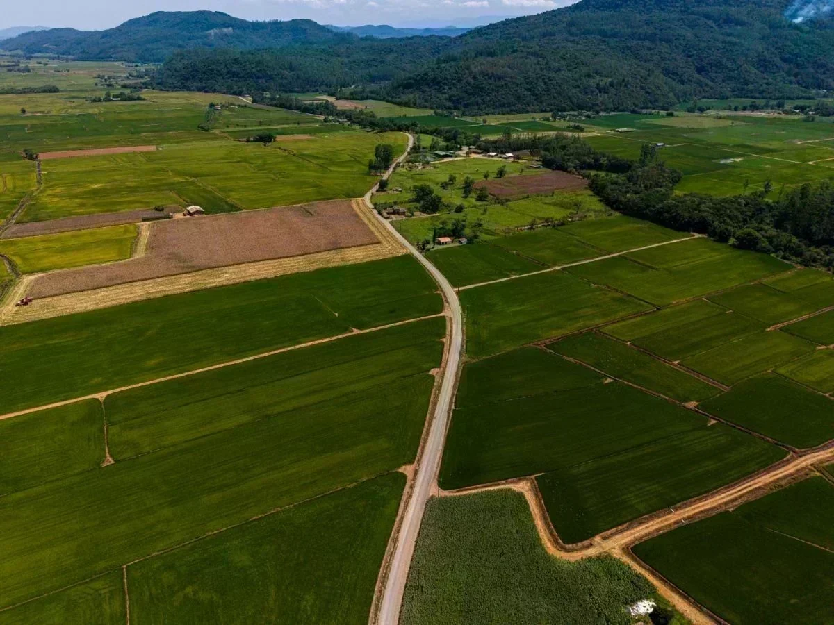 Pavimentação da Rodovia Transpolenteira: Um Marco para Nova Veneza