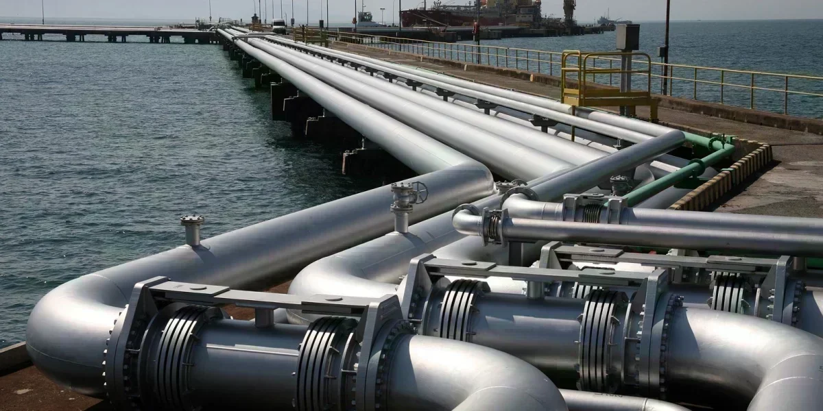 Petrobras investe R$ 2,9 bilhões e triplica frota de gaseiros em Santa Catarina