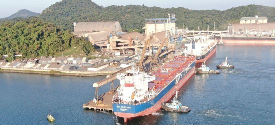 Porto de São Francisco do Sul atinge 17,5 milhões de toneladas em 2025 e se destaca no mercado