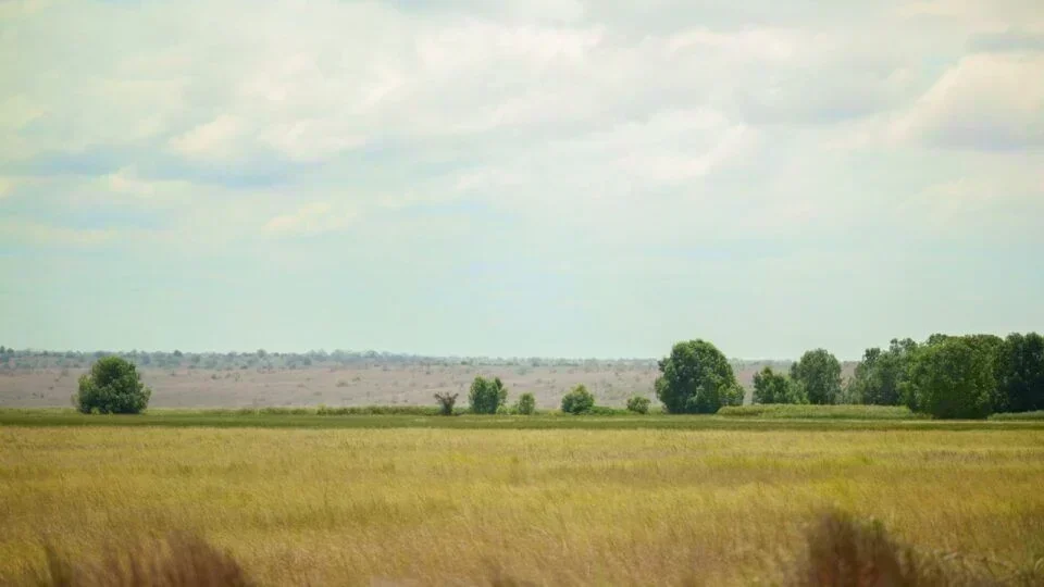 Angola e Brasil: Uma Fronteira Agrícola em Evolução