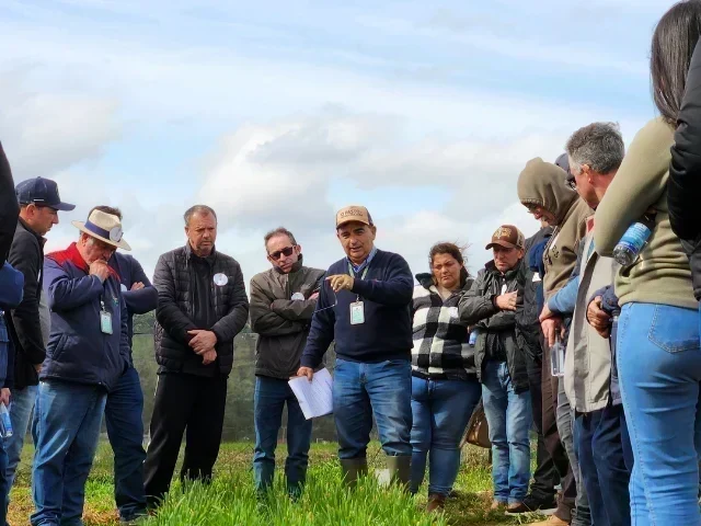 Azevém Altovale: A Oportunidade que Pecuaristas Não Podem Ignorar