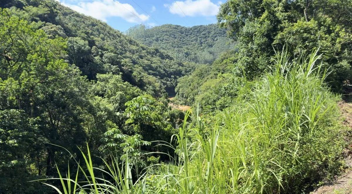 Barragem de Botuverá: Oportunidade de Investimento e Segurança para o Vale do Itajaí