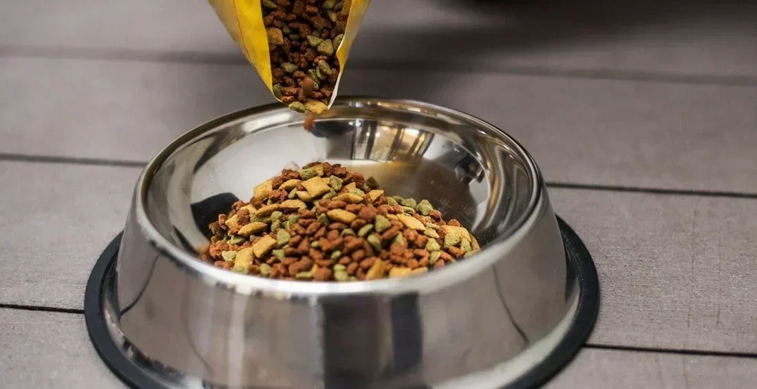 Brasil e Costa Rica: A Oportunidade de Ouro no Mercado de Pet Food