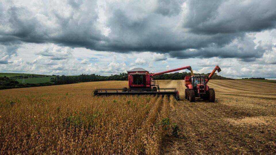 Empregos no Agronegócio: Crescimento Sustentável em Tempos Desafiadores