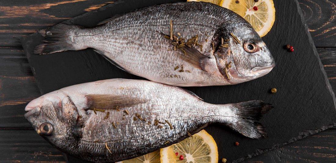 Exportações de Pescados: Oportunidade de US$ 600 milhões à Vista