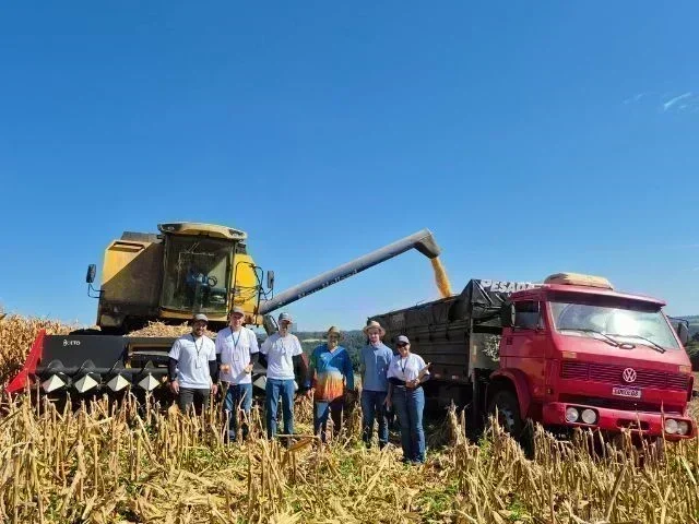 Giro da Safra 2025/26: Oportunidades e Desafios para o Milho em SC