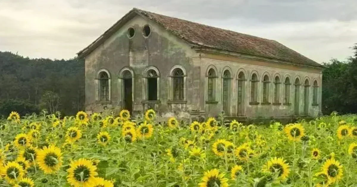 Pavimentação de R$ 2 milhões: um novo corredor turístico em Urussanga