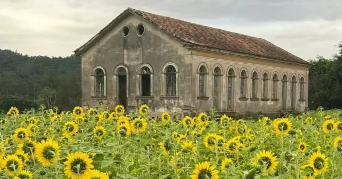 Pavimentação de R$ 2 milhões: um novo corredor turístico em Urussanga