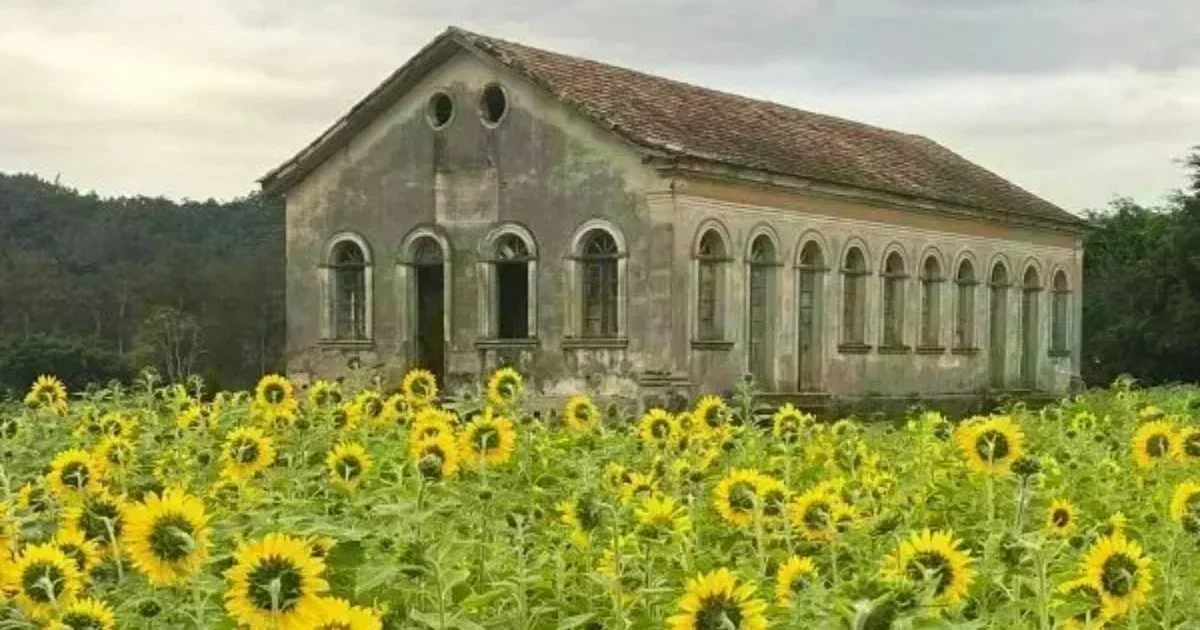 Pavimentação de R$ 2 milhões: um novo corredor turístico em Urussanga