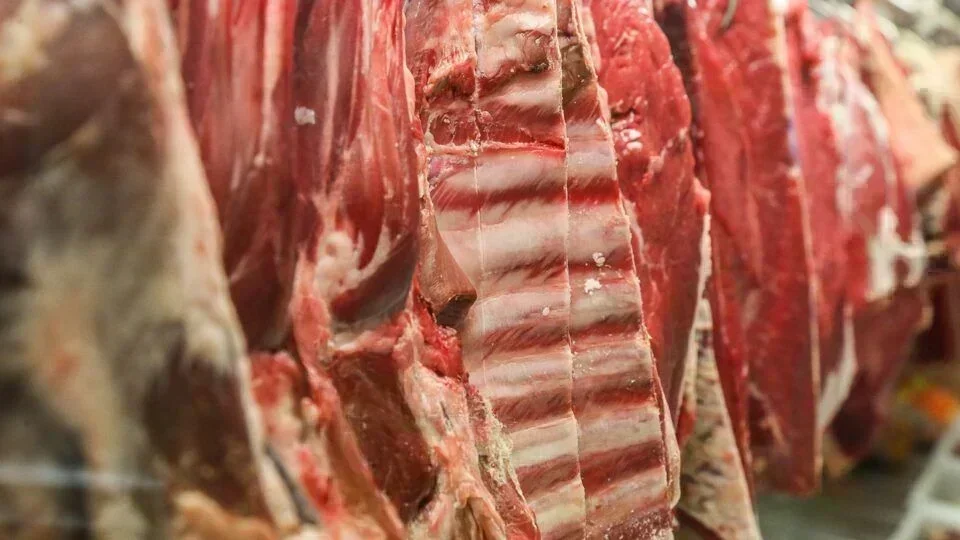 Regulação das Exportações de Carne: O Impacto no Setor e nos Investimentos