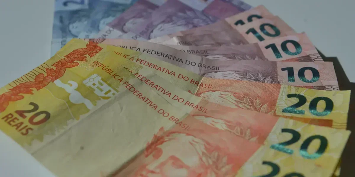 Renda Domiciliar Per Capita: O Que os Números Revelam para 2025