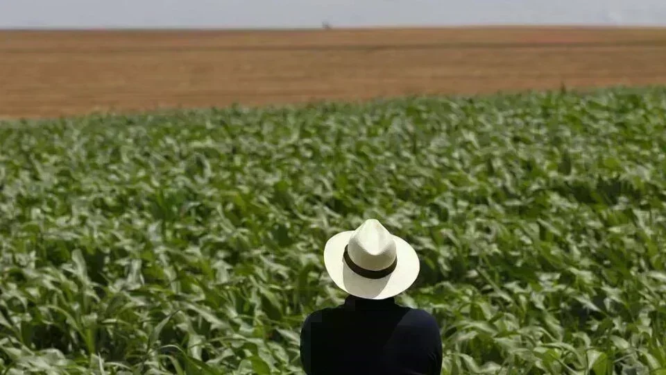 A Crise no Oriente Médio e Seus Efeitos no Agronegócio Brasileiro