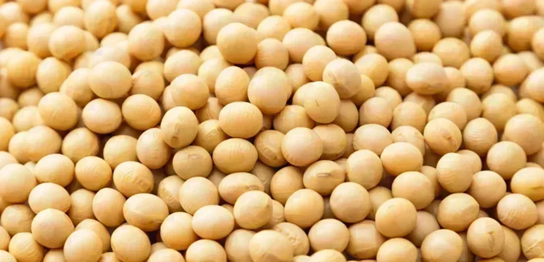 Brasil Abre Novos Mercados: Oportunidades no México e nas Filipinas