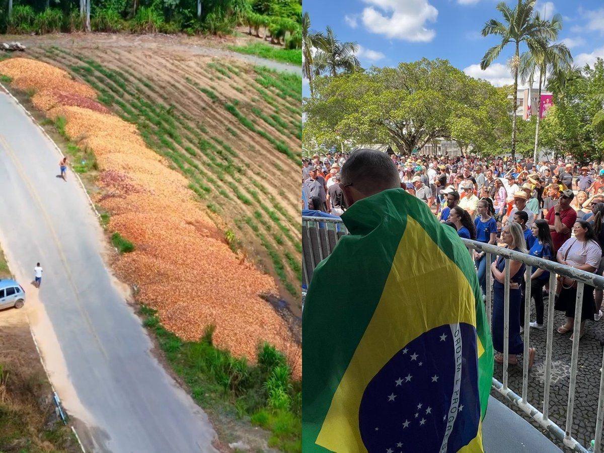 Cebola em Crise: Por que a Ação é Urgente em SC