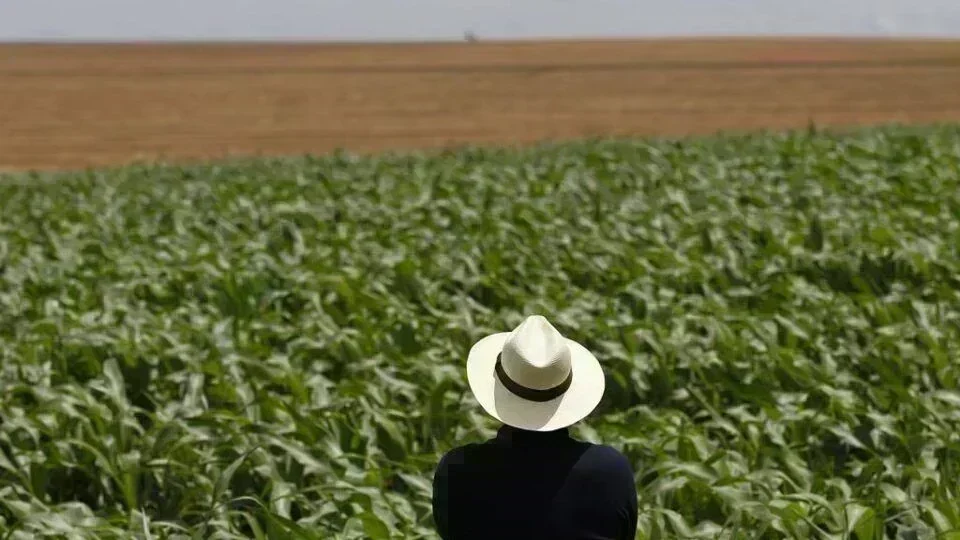 Conflito no Oriente Médio: Os Impactos Diretos no Agronegócio Brasileiro