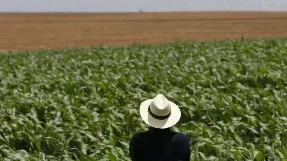 Conflito no Oriente Médio: Os Impactos Diretos no Agronegócio Brasileiro