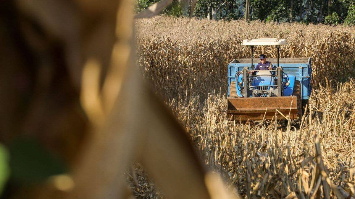 Coopera Agro SC: Oportunidade de R$ 1 Bilhão para Produtores Rurais