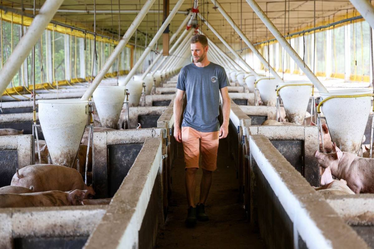 Coopera Agro SC: R$ 1 bilhão para transformar o agronegócio