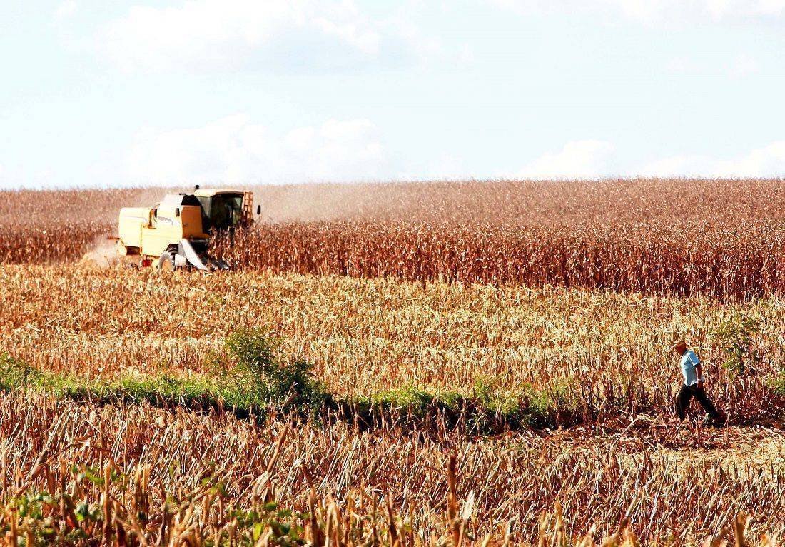 Crescimento do PIB: Oportunidades e Desafios em 2025