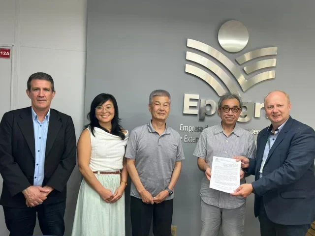 Cultivo do Limão Yuzu em Santa Catarina: Oportunidade ou Risco?