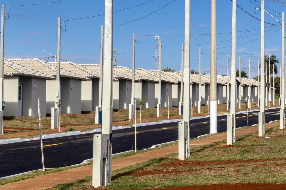 Cury: Resultados Impressionantes e Oportunidades em Alta