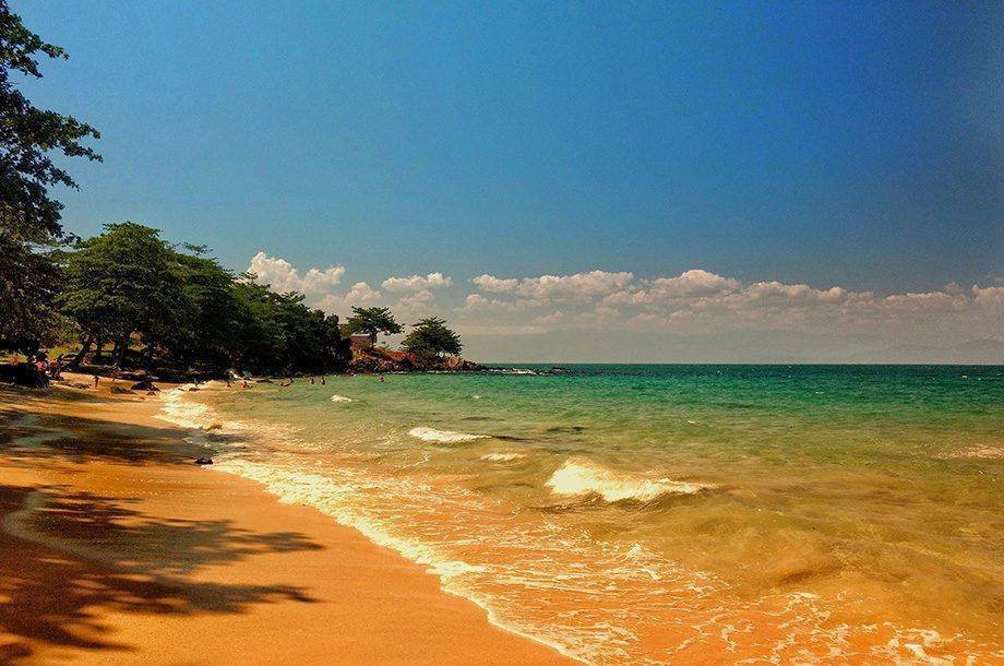 Ilhabela: Oportunidade de Ouro no Turismo Sustentável de Observação de Cetáceos