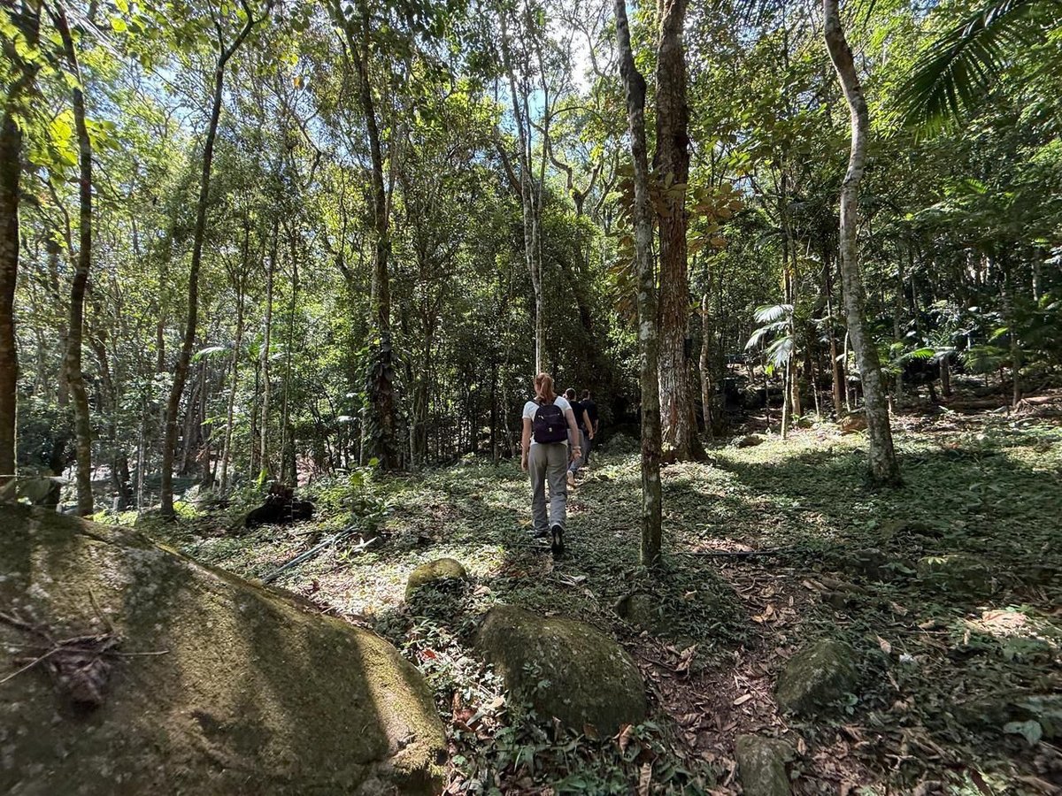 Oportunidade de Ouro: Roteiro Agroturístico em Itapema