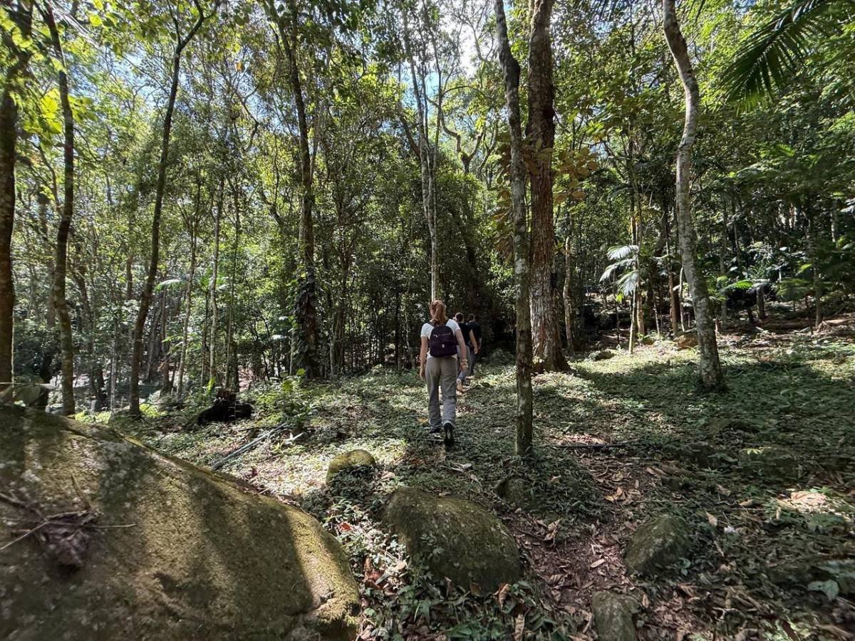 Oportunidade de Ouro: Roteiro Agroturístico em Itapema