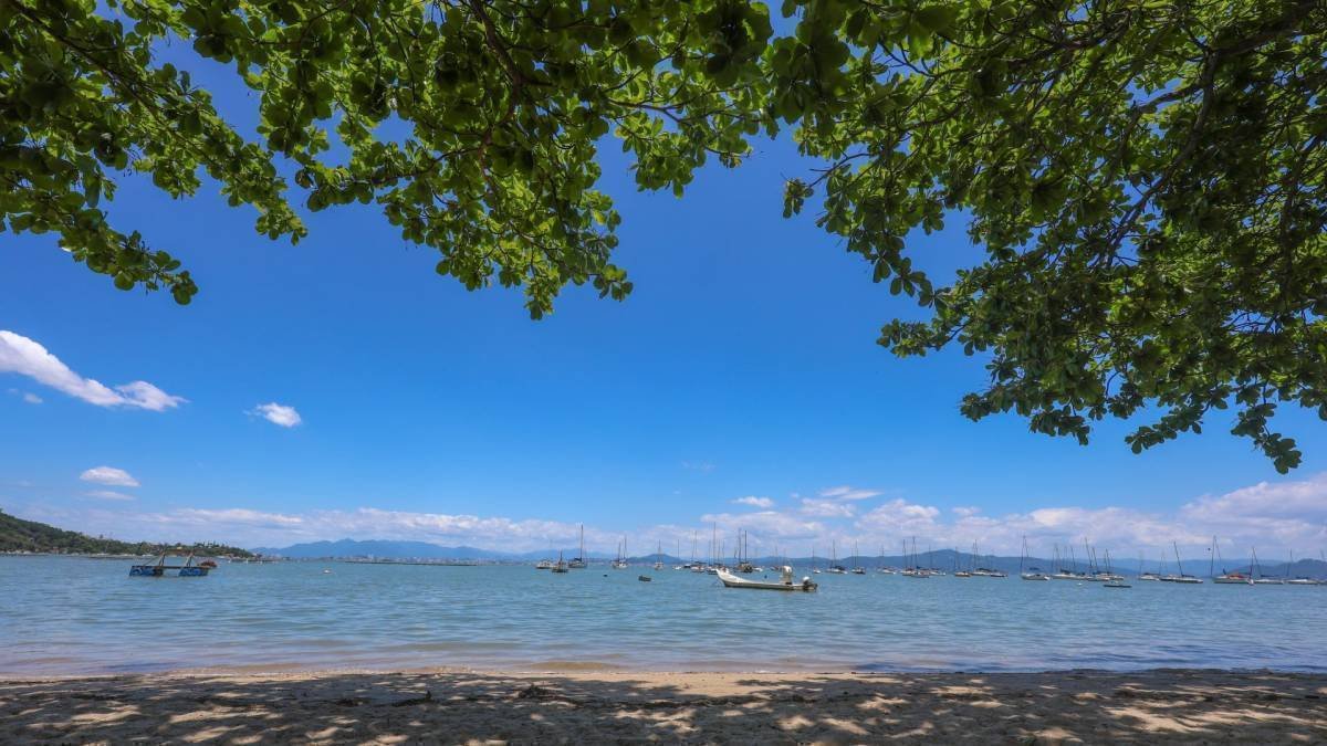 Oportunidade de Participação: Reavaliação da Instrução Normativa do Projeto Orla em Santa Catarina