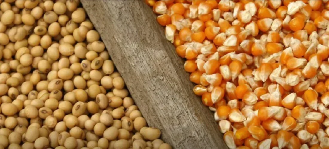 Oportunidade ou Risco? O Comércio Brasil-Irã em Tempos de Tensão