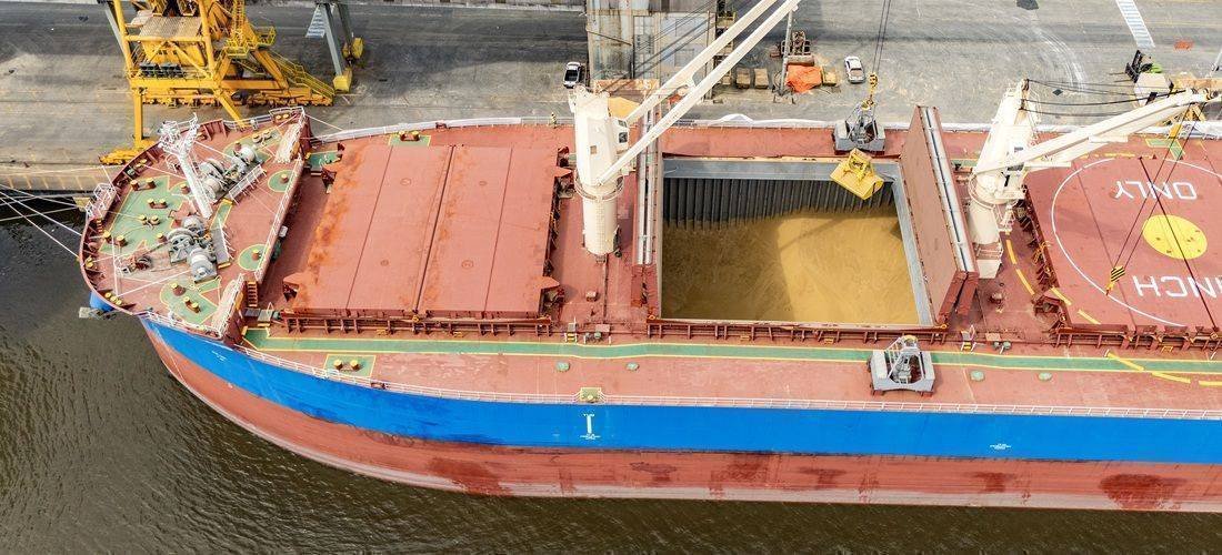 Porto de Paranaguá: O Recorde que Transforma o Mercado de Cevada