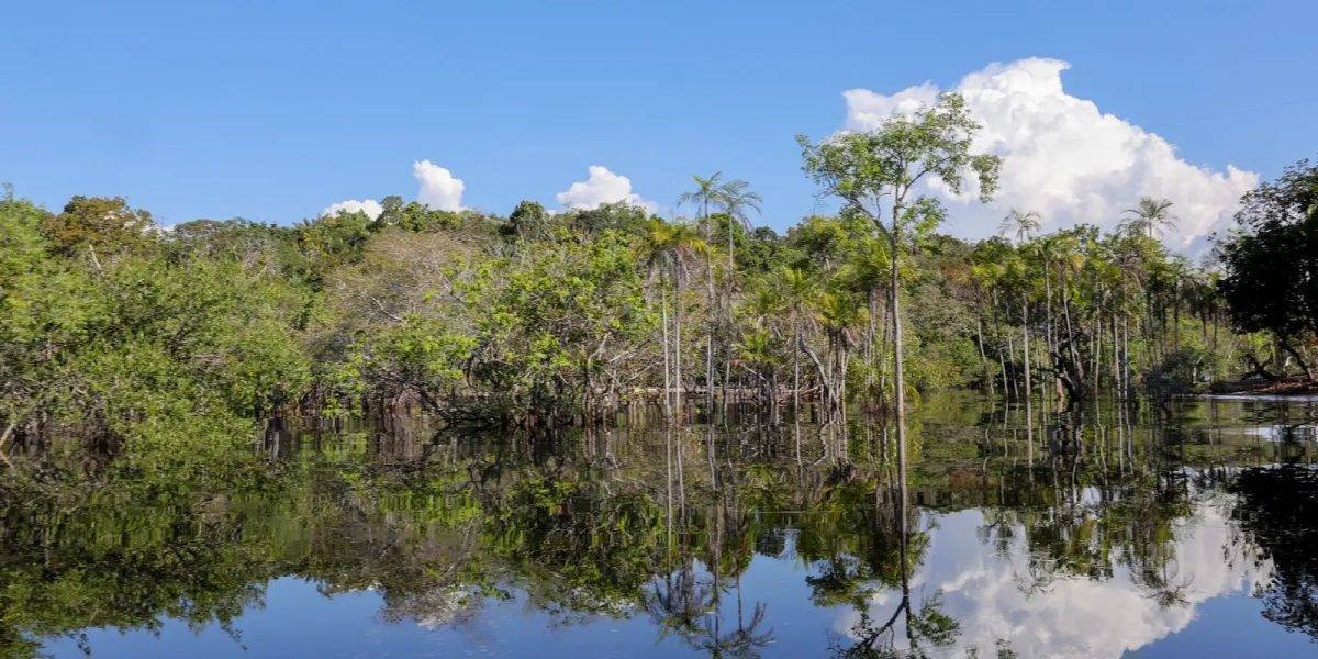 R$ 179 bilhões: Oportunidade de Ouro na Transição Ecológica