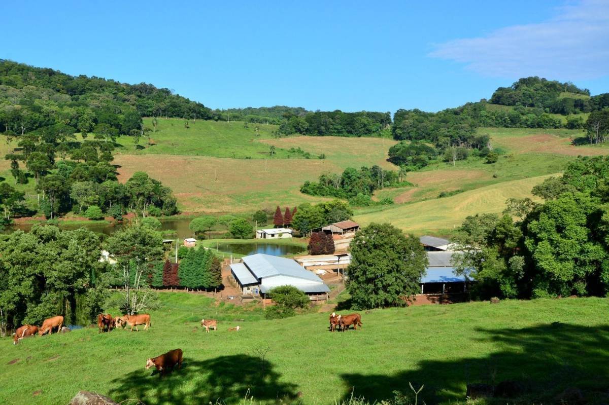 R$ 260 Milhões para Revolucionar a Agricultura em Santa Catarina