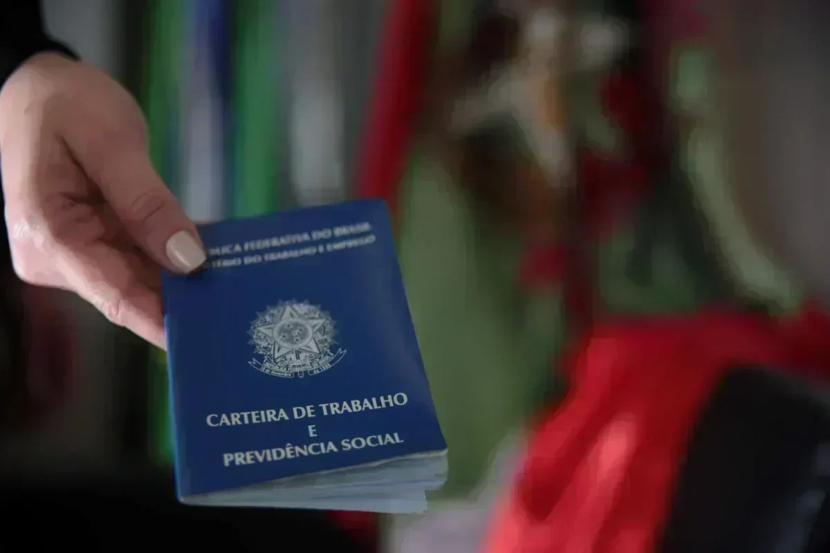 Santa Catarina: Oásis de Empregos em um Brasil em Crise