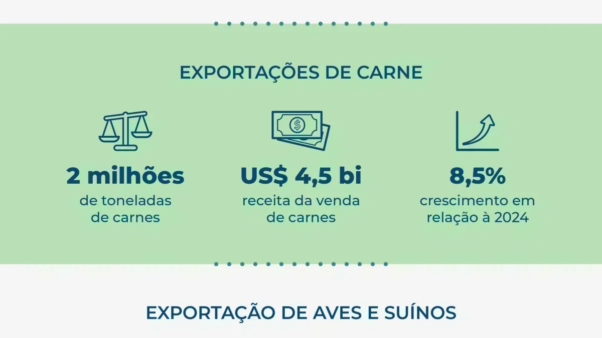 Santa Catarina: Oportunidade de Investimento com Crescimento Acelerado