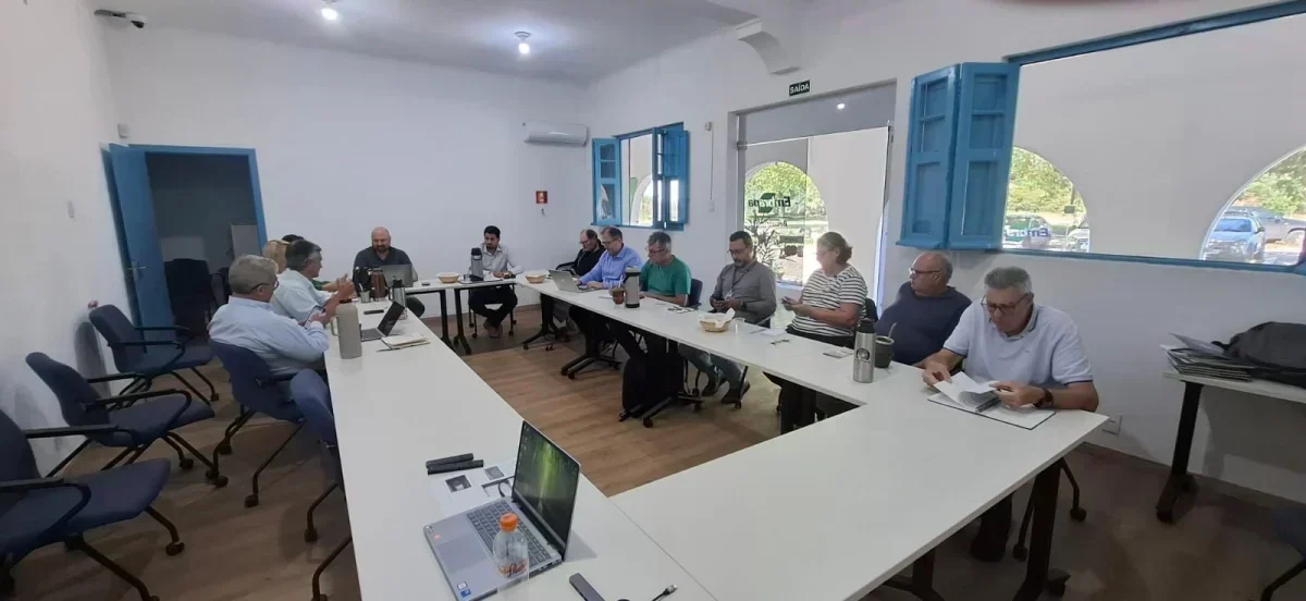 Santa Catarina: Oportunidade de Ouro na Ovinocaprinocultura