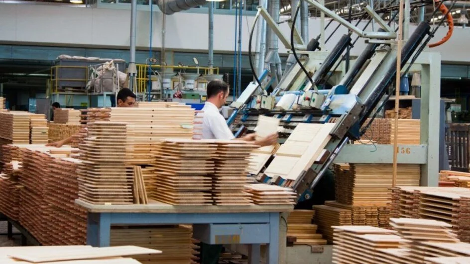 Santa Catarina: Queda de 1,5% na Atividade Econômica em Janeiro de 2025