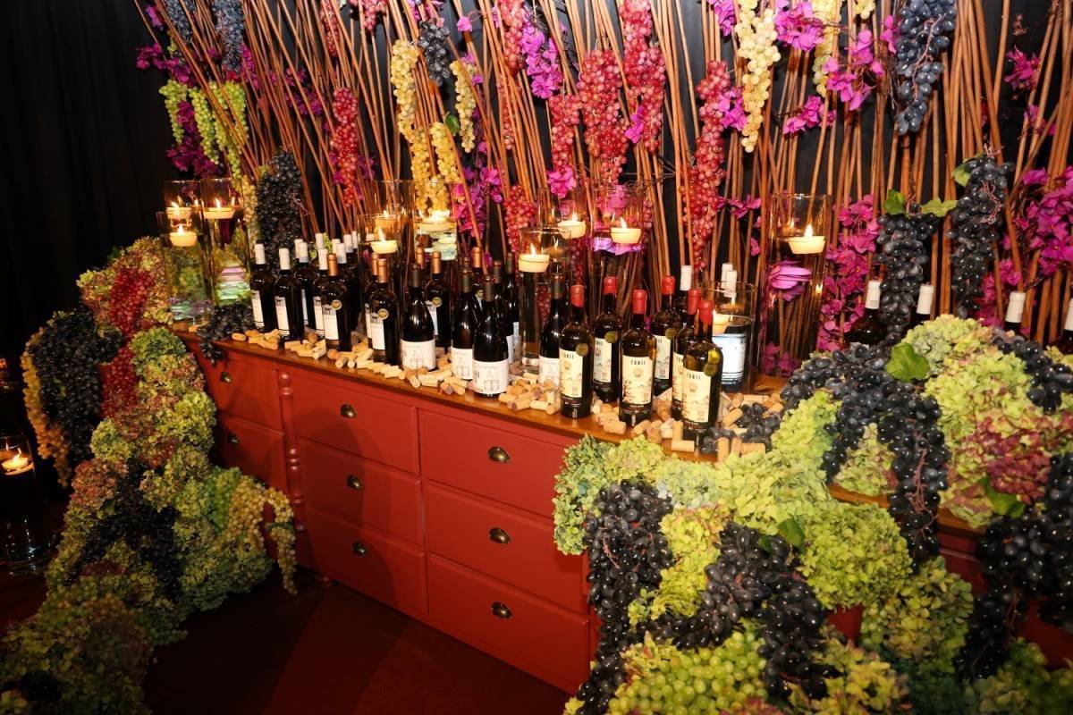 Vindima de Altitude: Oportunidade de Investimento em Enoturismo e Agricultura